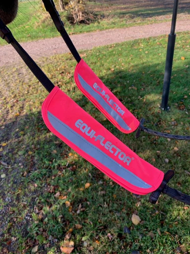 Zügelreflektoren - Rosa 2 Zügelreflektoren - Rosa - Image 2