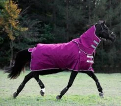 Highlander Original 200 Gr -Angebote Equinestor Store RC SH9361 11