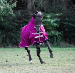 Highlander Original 200 Gr -Angebote Equinestor Store RC SH9361 6 2