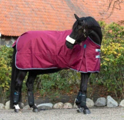 Highlander Original 200 Gr -Angebote Equinestor Store RC SH9361 7