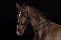 Kandare Milan Glam - Schwarz -Angebote Equinestor Store SS 1111 00014 1 2