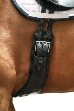 Sattelgurt Pittsburgh Stretch - Schwarz -Angebote Equinestor Store SS 1150 000142
