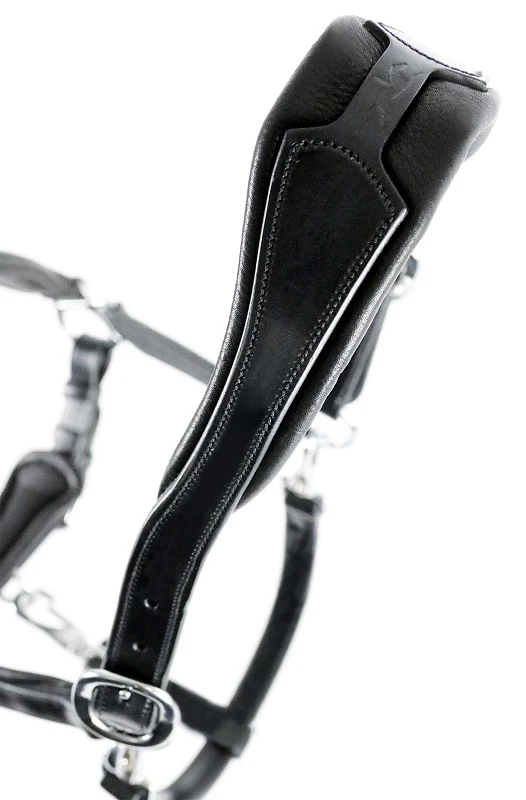 Lederhalfter Fremont - Schwarz 2 Lederhalfter Fremont - Schwarz – Bild 2