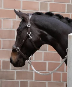 Lederhalfter Fremont - Schwarz 7 Lederhalfter Fremont - Schwarz -Angebote Equinestor Store SS 1310 00012 4