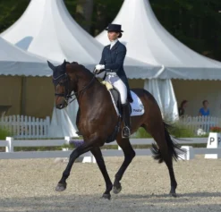 EquiSoft Sattelgurt - Braun 8 EquiSoft Sattelgurt - Braun -Angebote Equinestor Store ST 277 6