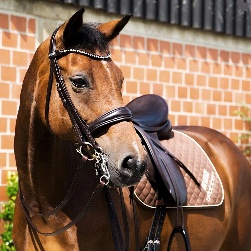 Trensen- Und Kandarenzaum Switch MT 2 Trensen- Und Kandarenzaum Switch MT - Image 2