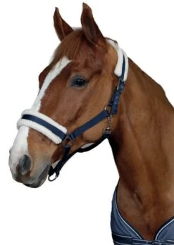 Halfter Soft - Marine -Angebote Equinestor Store TH 36111