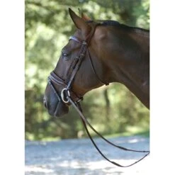 Dyón Trense 5 Dyón Trense -Angebote Equinestor Store dyon trans
