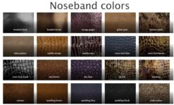 Nasenriemen XS Comfort Kandarenzaum - Eigenes Design -Angebote Equinestor Store noseband colors1