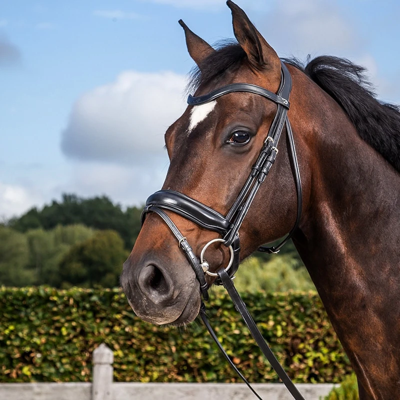 Angebote Equinestor Store 15 Angebote Equinestor Store -Angebote Equinestor Store E 0522NEDCAP