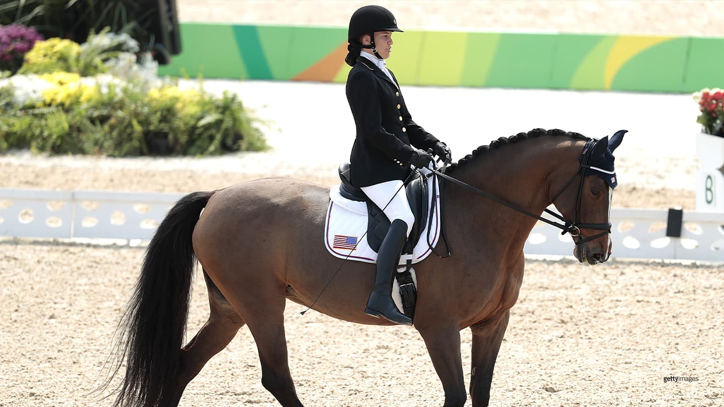 Angebote Equinestor Store -Angebote Equinestor Store Hart Rebecca 091516 1440x810 Updated 3