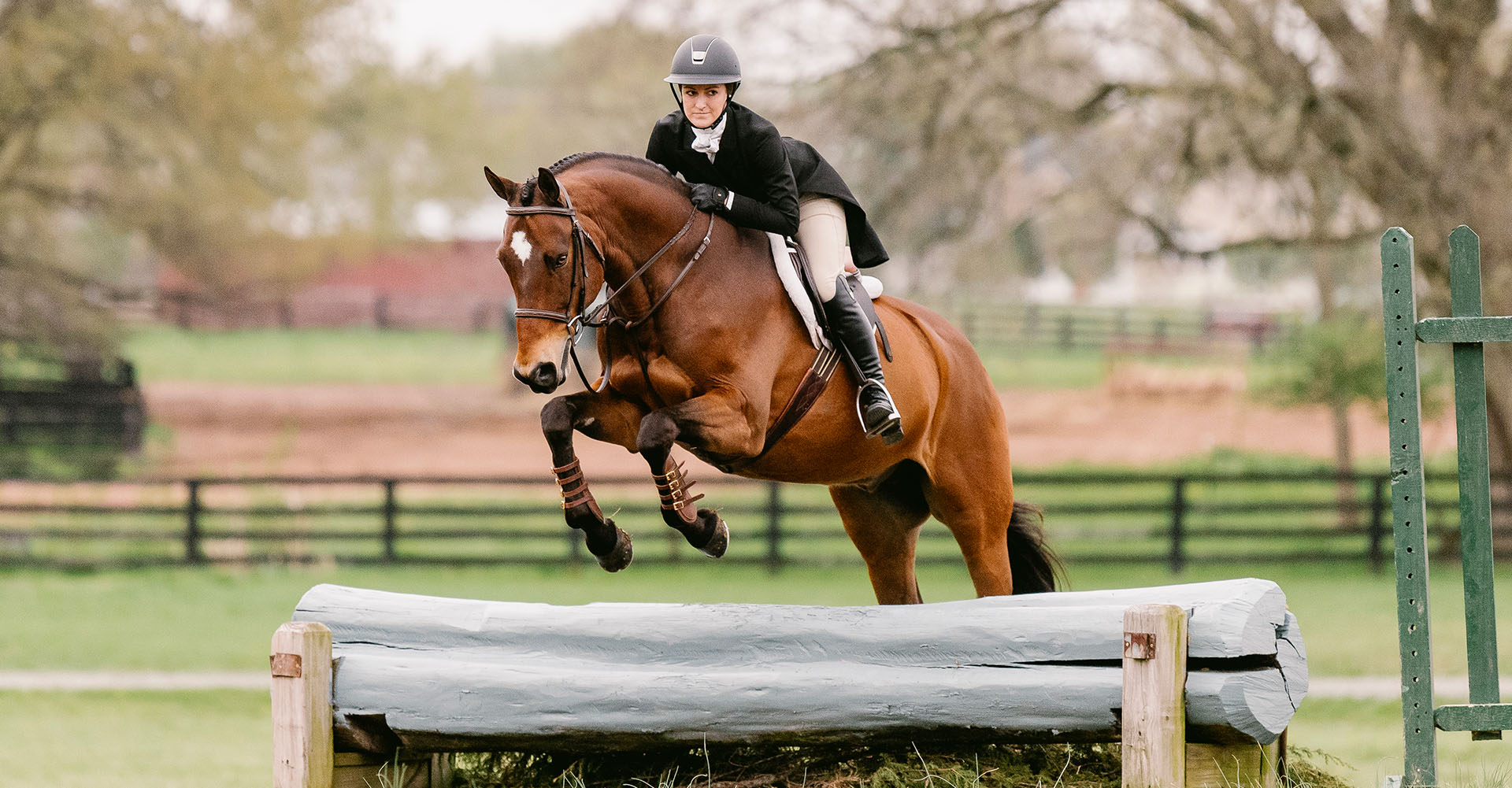 Angebote Equinestor Store -Angebote Equinestor Store equestrian scholarships hero 1